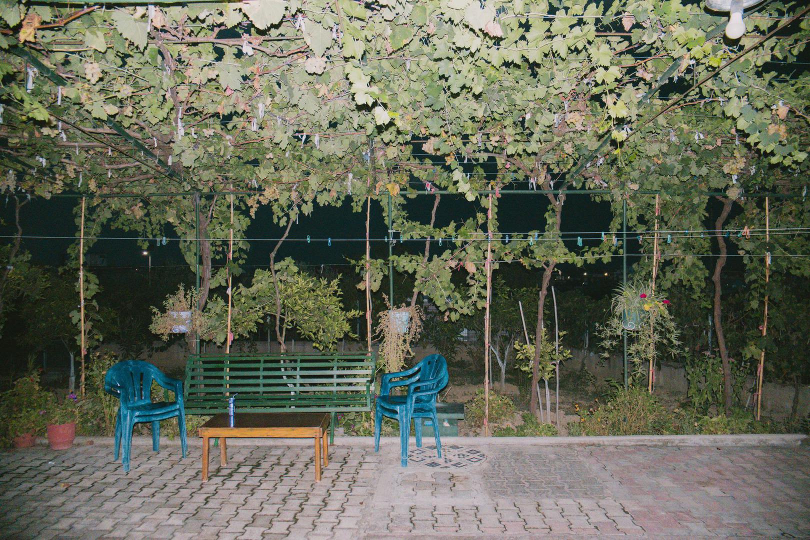 Bağ Yolu Şarap Evi - fotoğraf 3